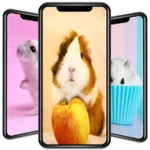 cute hamster wallpapers android application logo